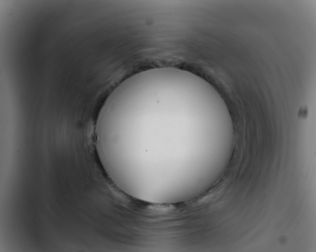 X0000103420480200809121017