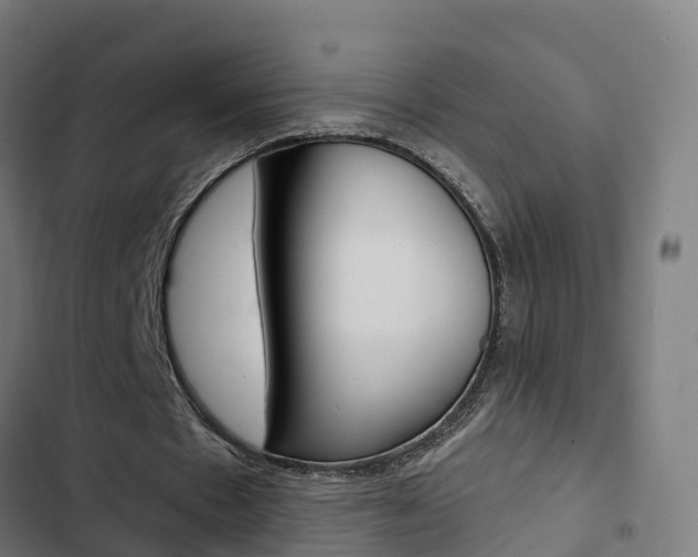 X0000103420481200809121016