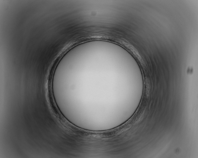 X0000103420482200809121016
