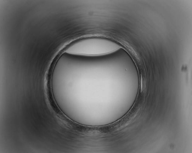 X0000103420483200809121016