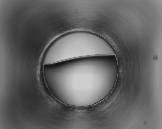 X0000103420484200809121016