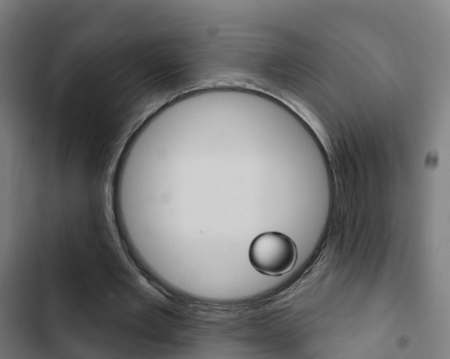 X0000103420485200809121016