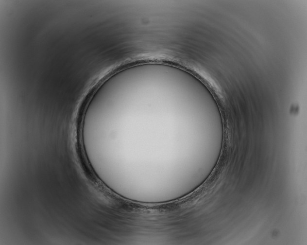 X0000103420486200809121016