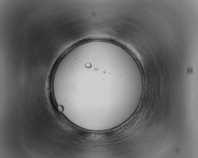 X0000103420487200809121015
