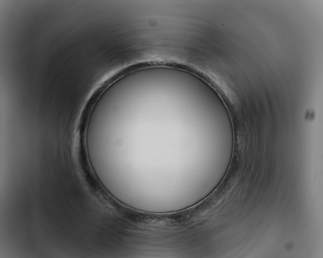 X0000103420488200809121015