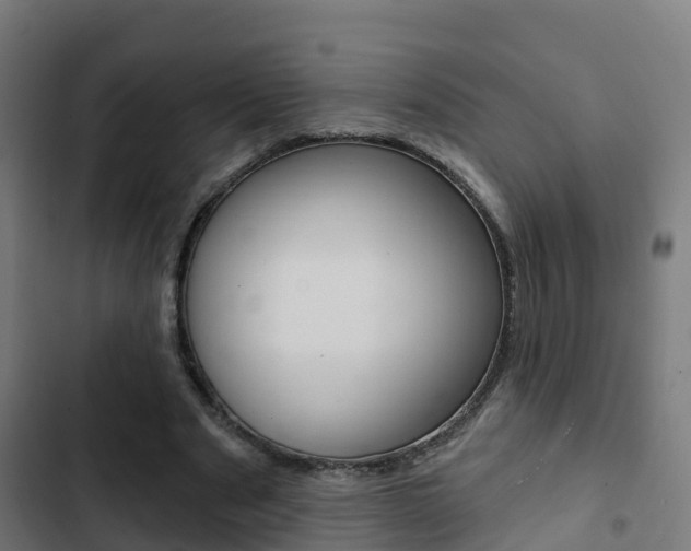 X0000103420489200809121015