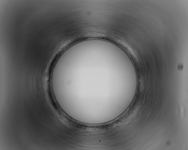 X0000103420490200809121015