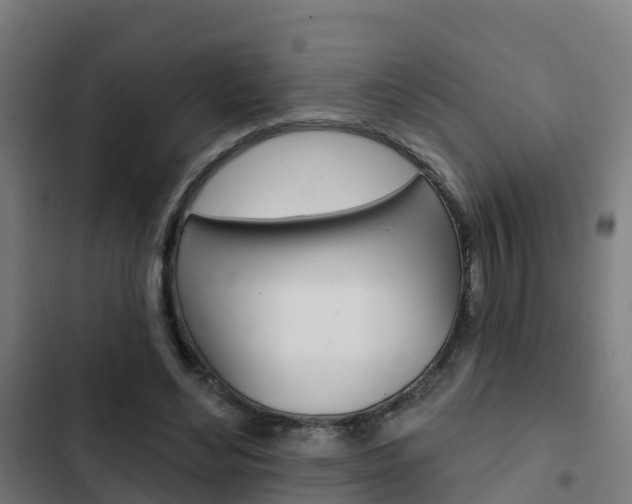 X0000103420492200809121015