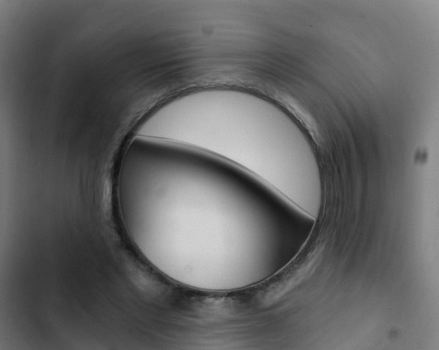 X0000103420493200809121015