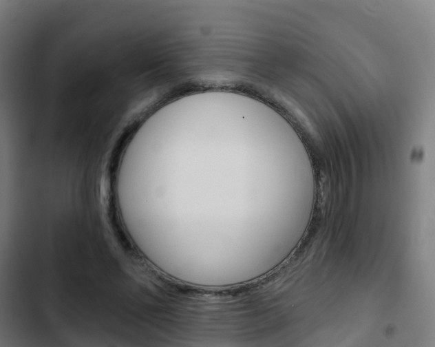 X0000103420494200809121015
