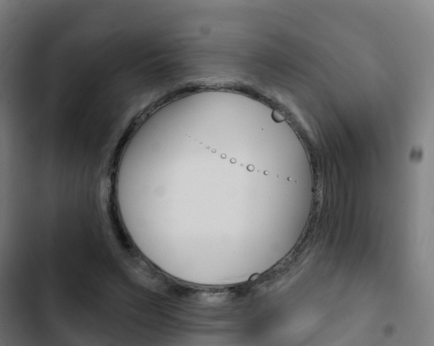 X0000103420495200809121015