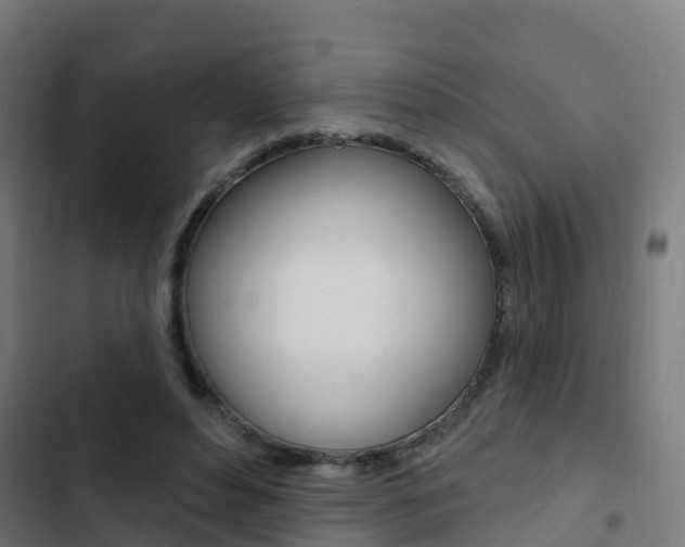 X0000103420496200809121015