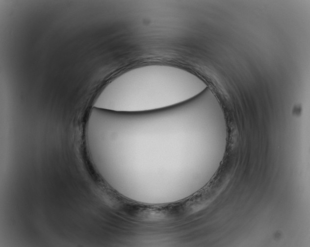 X0000103420498200809121015