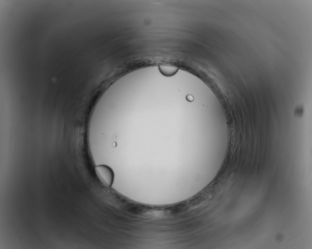 X0000103420499200809121015