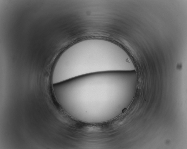 X0000103420500200809121015