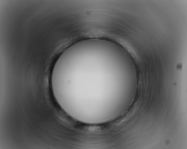 X0000103420501200809121015
