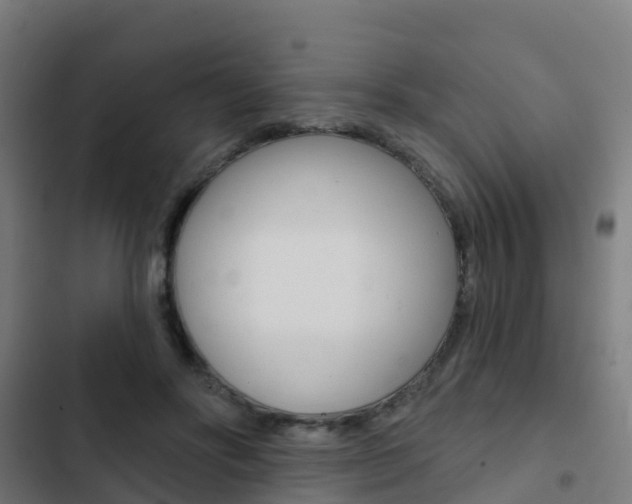 X0000103420502200809121015
