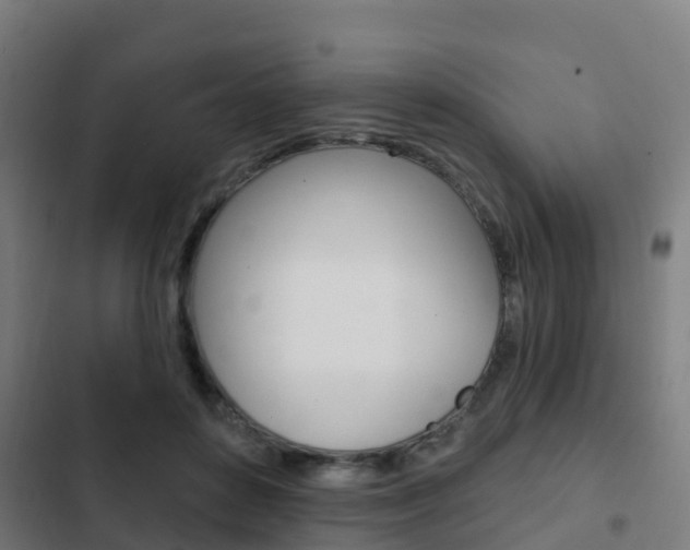 X0000103420504200809121015