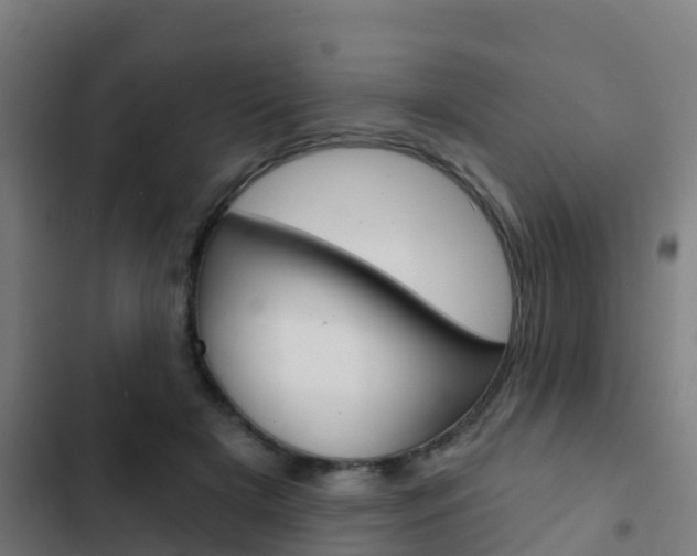 X0000103420505200809121015
