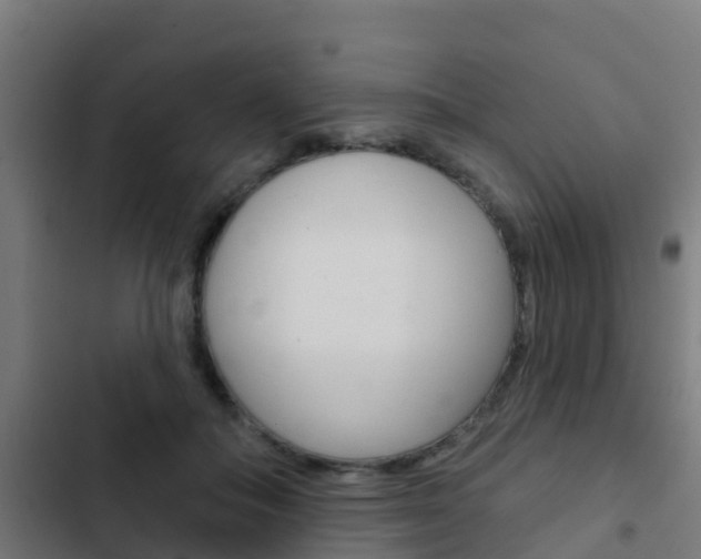 X0000103420506200809121015