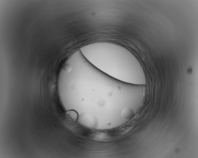 X0000103420507200809121015