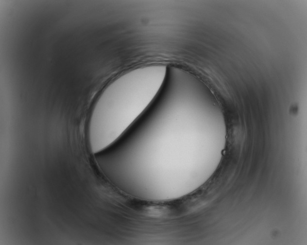 X0000103420508200809121015