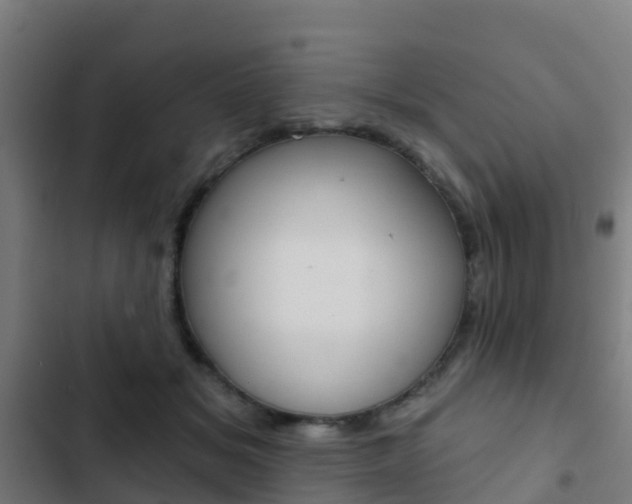 X0000103420509200809121015