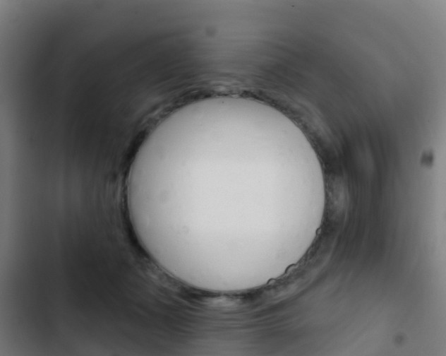 X0000103420511200809121015