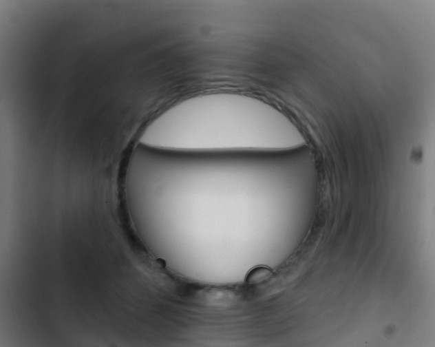 X0000103420512200809121015