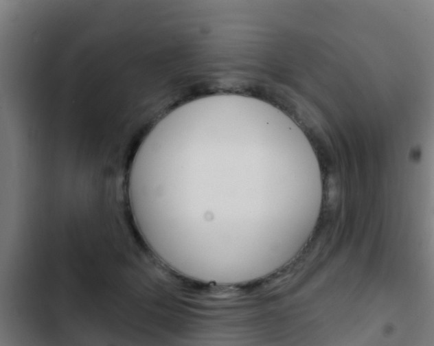 X0000103420514200809121015