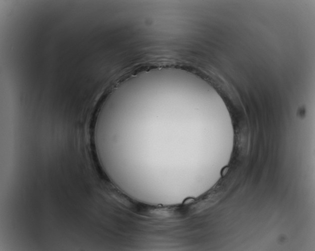 X0000103420516200809121015
