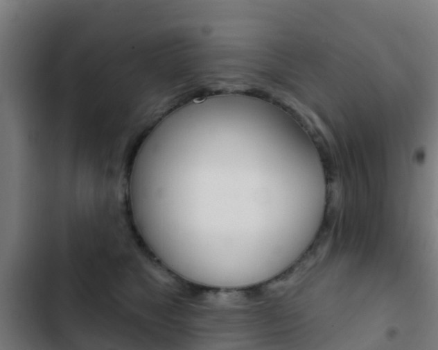X0000103420517200809121015