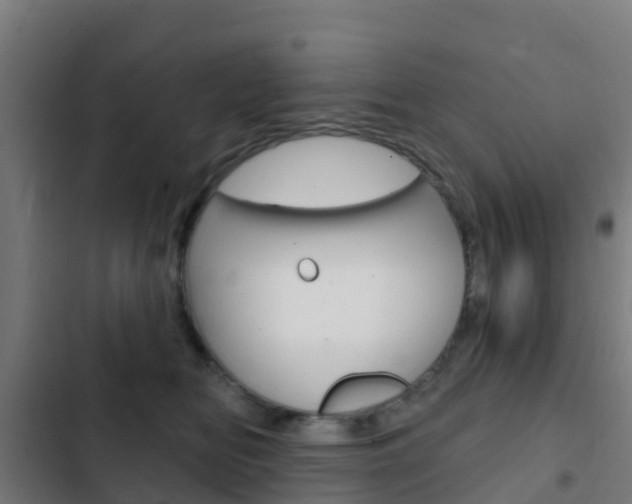 X0000103420518200809121015
