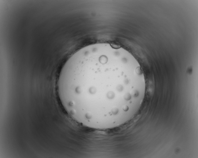X0000103420519200809121015