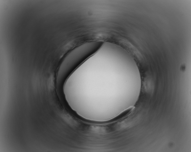 X0000103420520200809121015