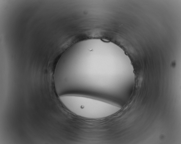 X0000103420521200809121015
