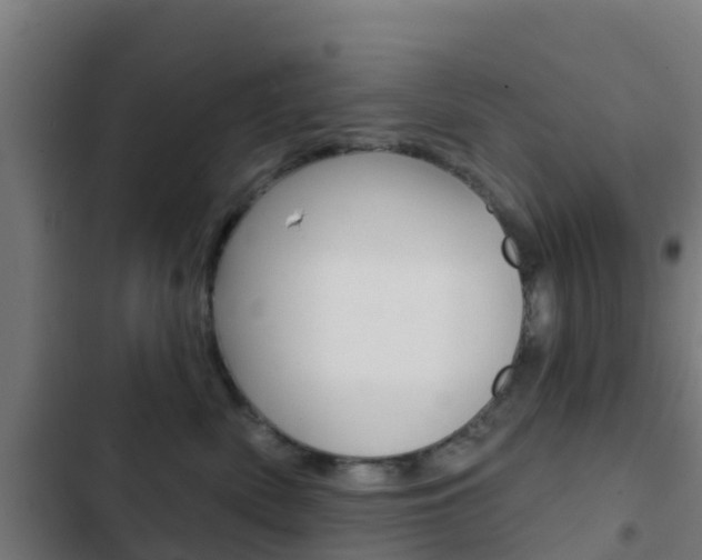 X0000103420522200809121015