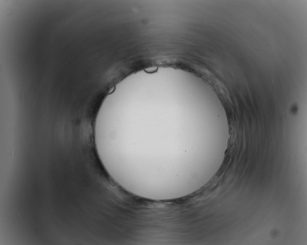X0000103420523200809121015
