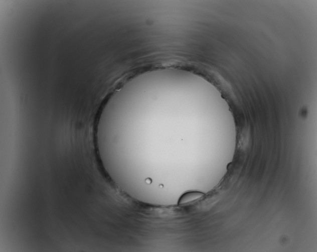 X0000103420524200809121015