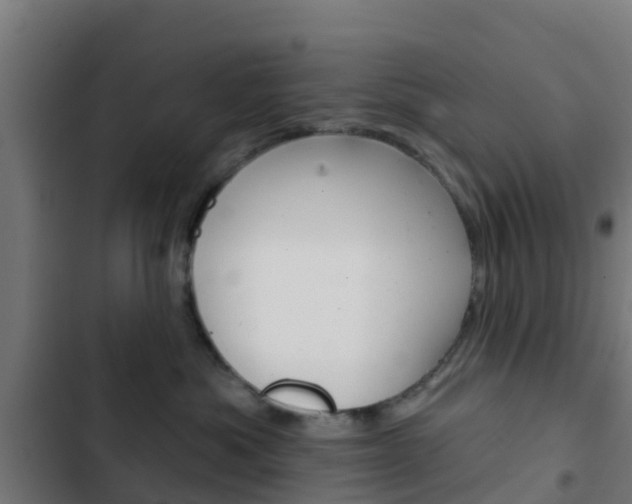 X0000103420525200809121015