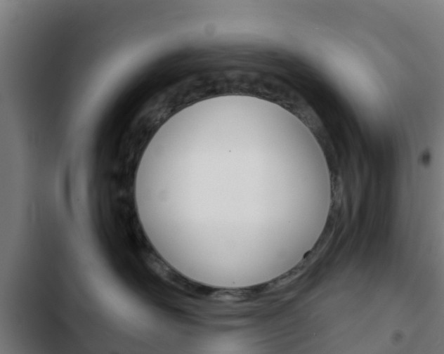 X0000103420526200809121015