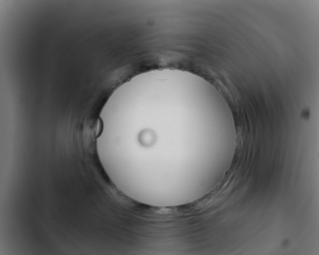 X0000103420527200809121015