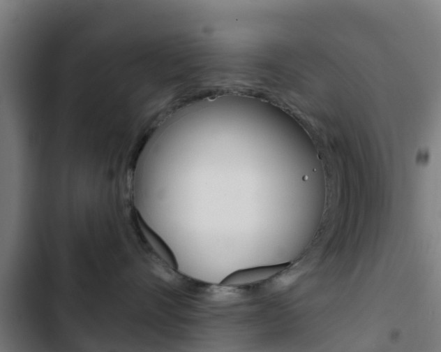 X0000103420528200809121015