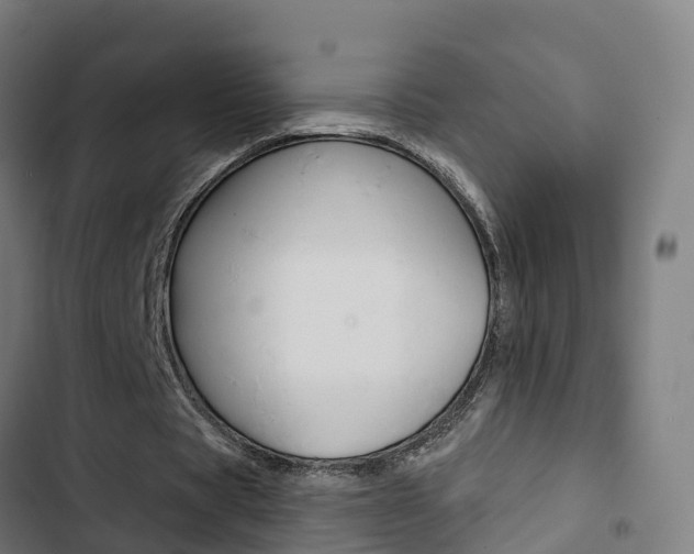 X0000103420529200809121014
