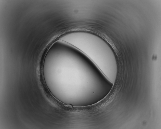 X0000103420530200809121014
