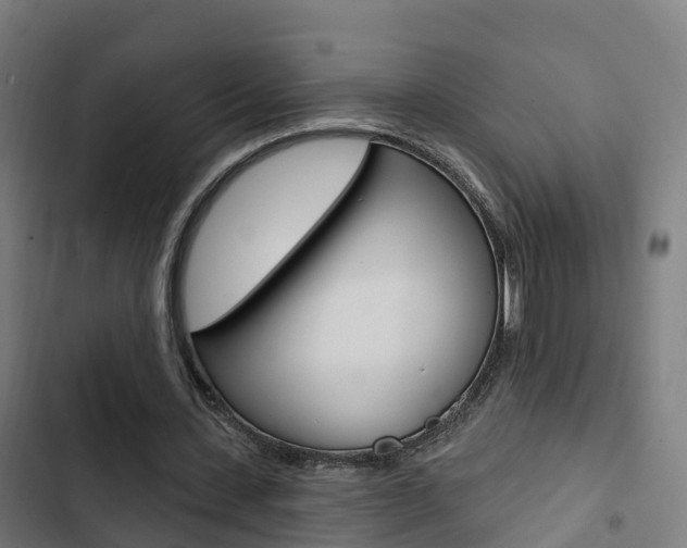 X0000103420531200809121014