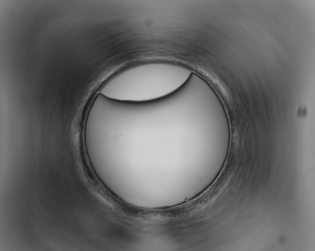 X0000103420533200809121014