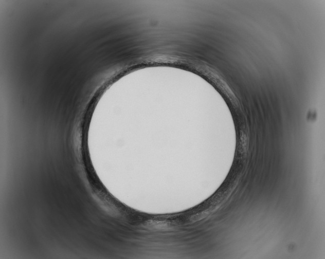 X0000103420534200809121014
