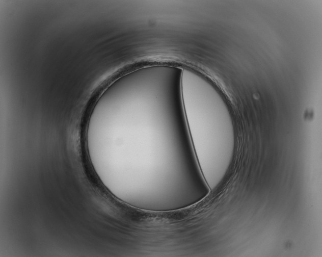 X0000103420535200809121014