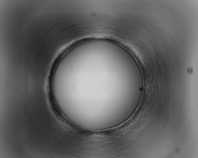 X0000103420536200809121014